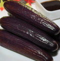 Cucumber Vegetable Seeds for Planting – Heirloom, Non-GMO, Organic Garden Seeds, High Germination, Crisp Garden Freshness