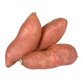 Vegetable Seeds,Garden seeds, Seeds For Planting,Plant Seeds