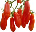 Vegetable Seeds,Garden seeds, Seeds For Planting,Plant Seeds