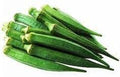 Vegetable Seeds,Garden seeds, Seeds For Planting,Plant Seeds