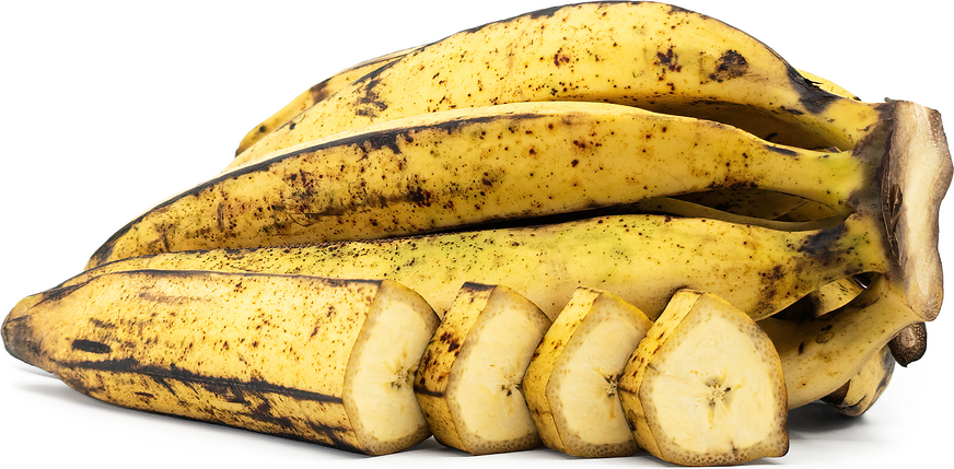 Rhino Horn Banana Fruit Seeds – Heirloom, Non-GMO Seeds for African Gi –  Earthechoseeds