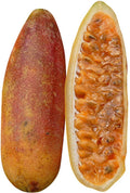 Fruit Seeds,Garden seeds, Seeds For Planting,Plant Seeds