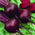 Vegetable Seeds,Garden seeds, Seeds For Planting,Plant Seeds