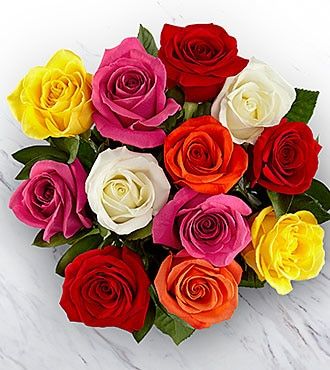 Mixed Rose Flower Seeds for Planting – Heirloom, Non-GMO, High Germination Organic Garden Seeds