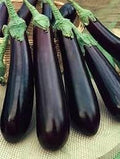 Vegetable Seeds,Garden seeds, Seeds For Planting,Plant Seeds