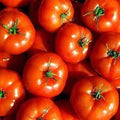 Vegetable Seeds,Garden seeds, Seeds For Planting,Plant Seeds