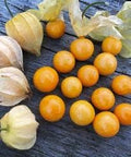 Vegetable Seeds,Garden seeds, Seeds For Planting,Plant Seeds