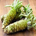 Vegetable Seeds,Garden seeds, Seeds For Planting,Plant Seeds