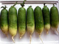 Vegetable Seeds,Garden seeds, Seeds For Planting,Plant Seeds