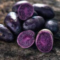 Vegetable Seeds,Garden seeds, Seeds For Planting,Plant Seeds