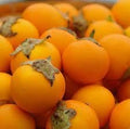 Fruit Seeds,Garden seeds, Seeds For Planting,Plant Seeds