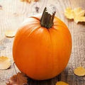 Vegetable Seeds,Garden seeds, Seeds For Planting,Plant Seeds