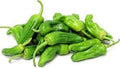 Vegetable Seeds,Garden seeds, Seeds For Planting,Plant Seeds