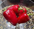 Vegetable Seeds,Garden seeds, Seeds For Planting,Plant Seeds