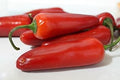 Vegetable Seeds,Garden seeds, Seeds For Planting,Plant Seeds