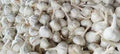 Vegetable Seeds,Garden seeds, Seeds For Planting,Plant Seeds