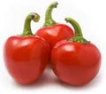 Vegetable Seeds,Garden seeds, Seeds For Planting,Plant Seeds