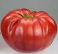 Vegetable Seeds,Garden seeds, Seeds For Planting,Plant Seeds