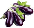 Vegetable Seeds,Garden seeds, Seeds For Planting,Plant Seeds