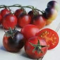 Vegetable Seeds,Garden seeds, Seeds For Planting,Plant Seeds