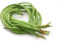Vegetable Seeds,Garden seeds, Seeds For Planting,Plant Seeds