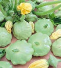 Vegetable Seeds,Garden seeds, Seeds For Planting,Plant Seeds
