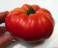 Vegetable Seeds,Garden seeds, Seeds For Planting,Plant Seeds