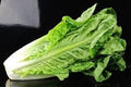 Vegetable Seeds,Garden seeds, Seeds For Planting,Plant Seeds