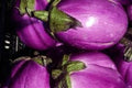 Vegetable Seeds,Garden seeds, Seeds For Planting,Plant Seeds