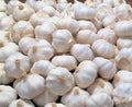 Vegetable Seeds,Garden seeds, Seeds For Planting,Plant Seeds