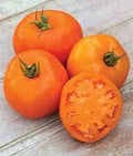 Vegetable Seeds,Garden seeds, Seeds For Planting,Plant Seeds