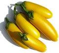 Vegetable Seeds,Garden seeds, Seeds For Planting,Plant Seeds