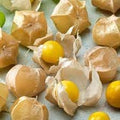 Vegetable Seeds,Garden seeds, Seeds For Planting,Plant Seeds