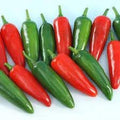 Vegetable Seeds,Garden seeds, Seeds For Planting,Plant Seeds