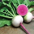 Fruit Seeds,Garden seeds, Seeds For Planting,Plant Seeds