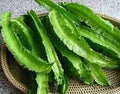 Vegetable Seeds,Garden seeds, Seeds For Planting,Plant Seeds