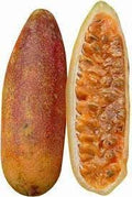 Fruit Seeds,Garden seeds, Seeds For Planting,Plant Seeds