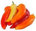 Vegetable Seeds,Garden seeds, Seeds For Planting,Plant Seeds