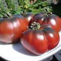 Vegetable Seeds,Garden seeds, Seeds For Planting,Plant Seeds
