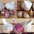 Vegetable Seeds,Garden seeds, Seeds For Planting,Plant Seeds