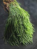 Vegetable Seeds,Garden seeds, Seeds For Planting,Plant Seeds