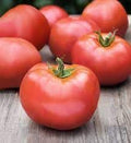 Vegetable Seeds,Garden seeds, Seeds For Planting,Plant Seeds