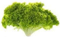 Vegetable Seeds,Garden seeds, Seeds For Planting,Plant Seeds