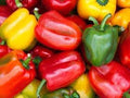 Vegetable Seeds,Garden seeds, Seeds For Planting,Plant Seeds
