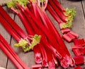 Vegetable Seeds,Garden seeds, Seeds For Planting,Plant Seeds