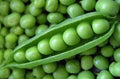 Vegetable Seeds,Garden seeds, Seeds For Planting,Plant Seeds