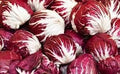 Vegetable Seeds,Garden seeds, Seeds For Planting,Plant Seeds