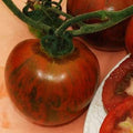 Vegetable Seeds,Garden seeds, Seeds For Planting,Plant Seeds