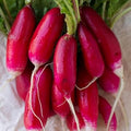Vegetable Seeds,Garden seeds, Seeds For Planting,Plant Seeds