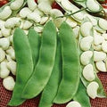 Vegetable Seeds,Garden seeds, Seeds For Planting,Plant Seeds